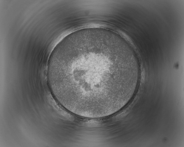 X0000115551178200912181546