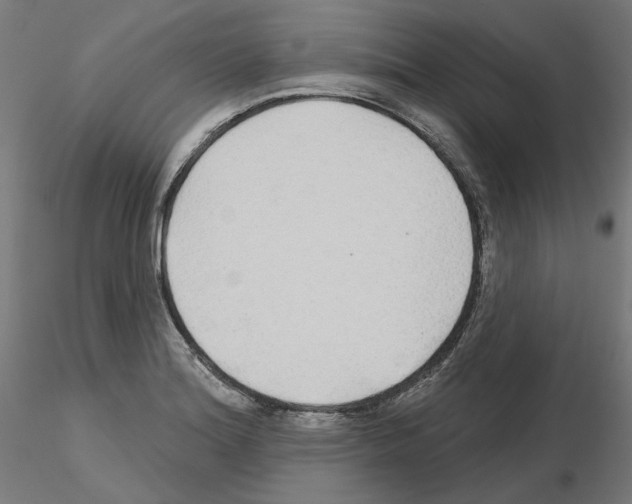 X0000115551180200912181546