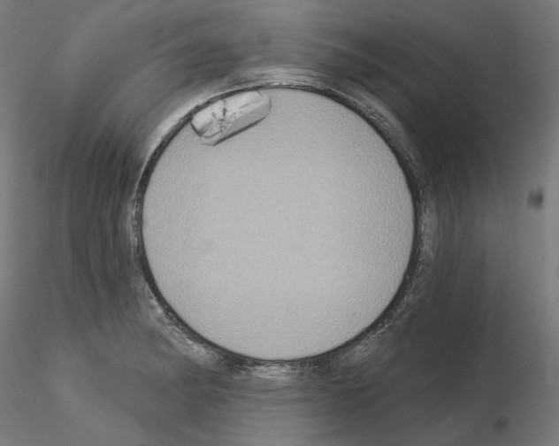 X0000115551182200912181546