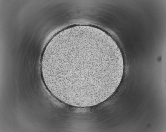 X0000115551183200912181546