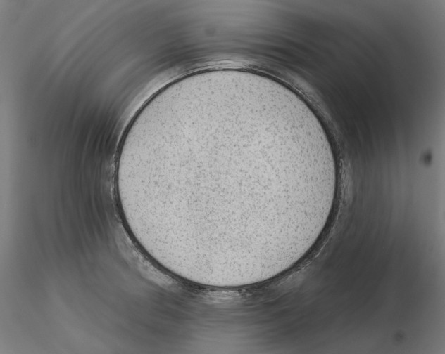 X0000115551186200912181546