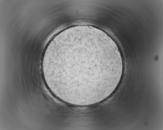 X0000115551189200912181546