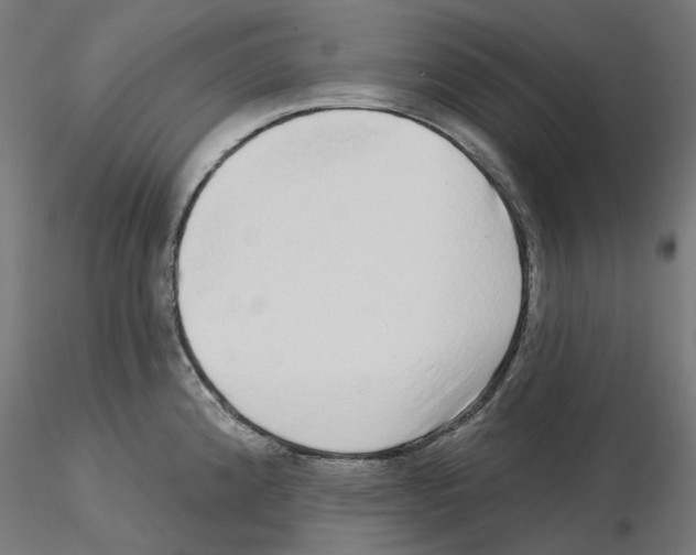 X0000115551192200912181546