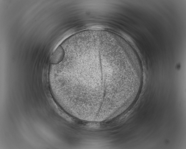 X0000115551194200912181546