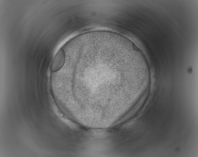 X0000115551198200912181546