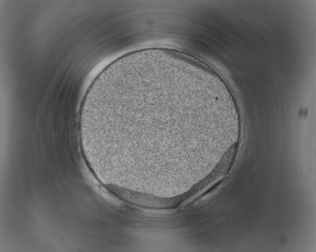 X0000115551200200912181545