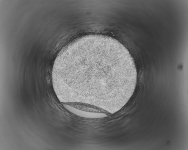 X0000115551202200912181545