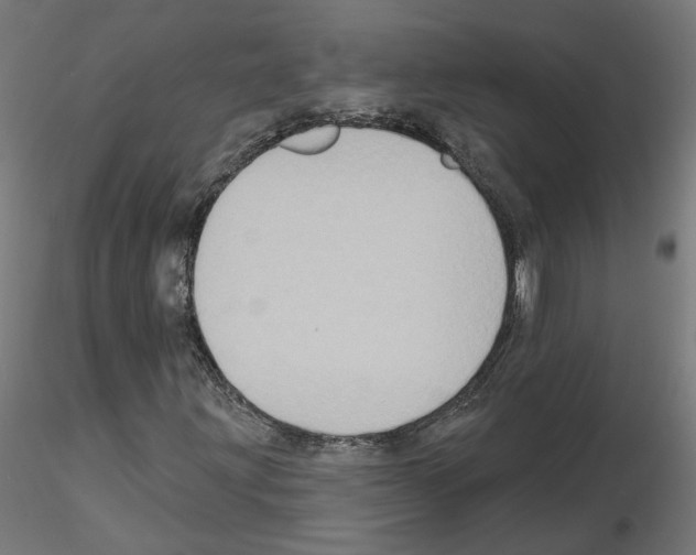 X0000115551203200912181545