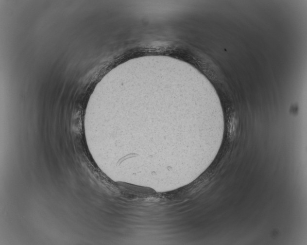 X0000115551204200912181545