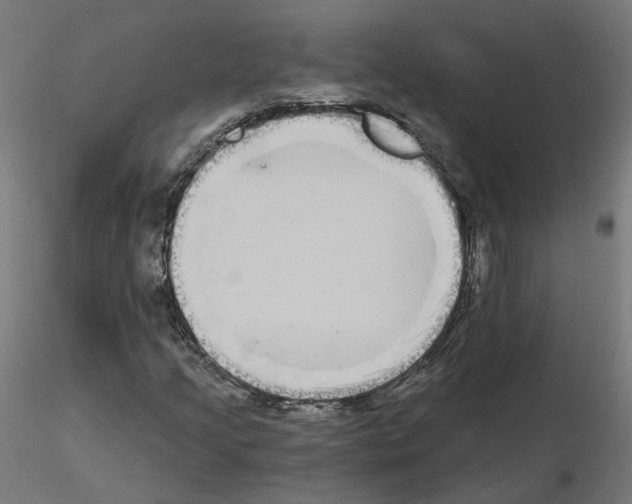 X0000115551205200912181545