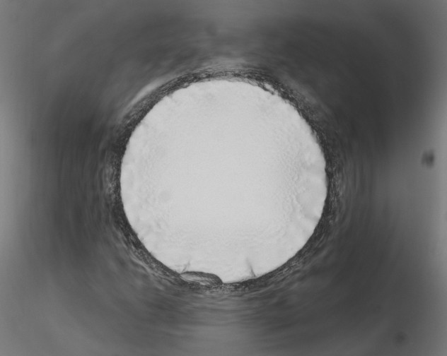 X0000115551206200912181545