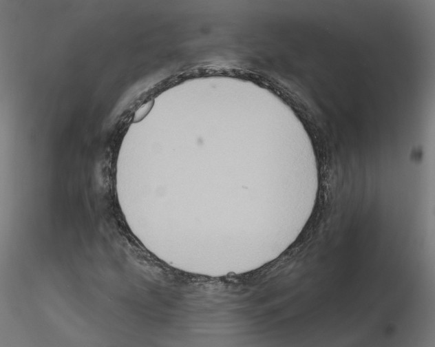 X0000115551207200912181545