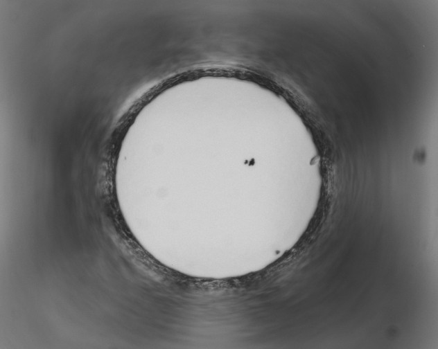 X0000115551208200912181545