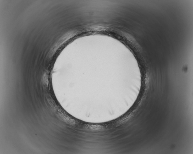 X0000115551209200912181545