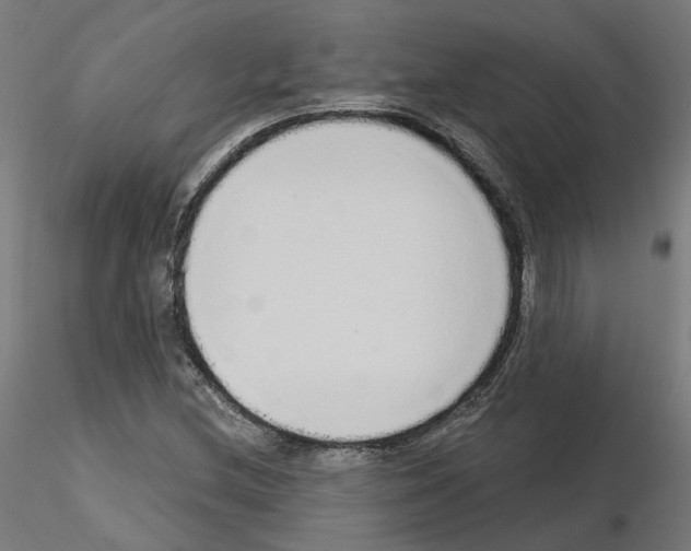 X0000115551212200912181545