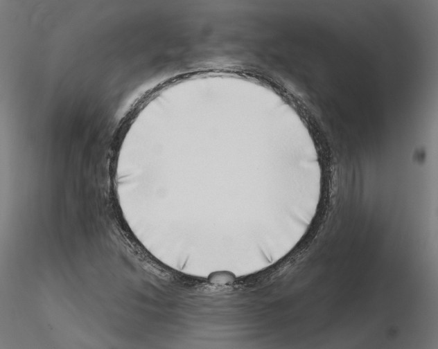 X0000115551214200912181545