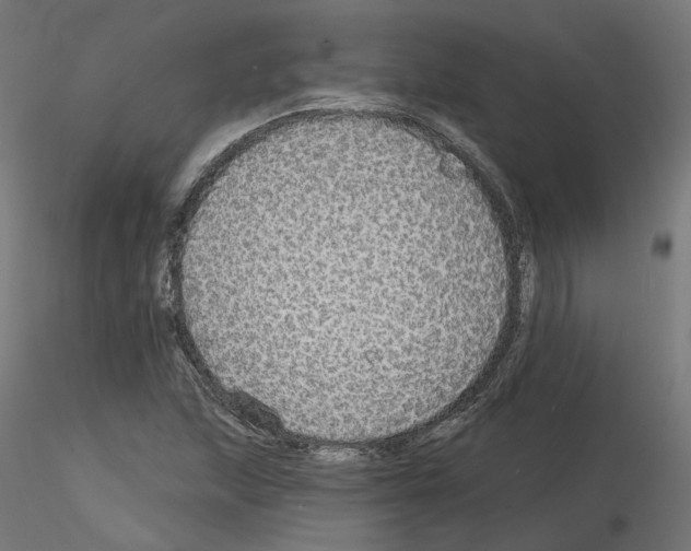 X0000115551215200912181545