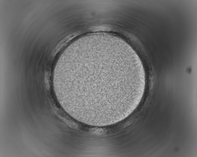 X0000115551217200912181545