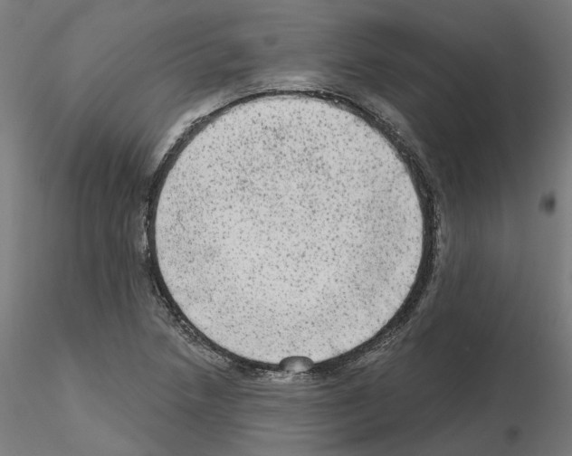 X0000115551218200912181545