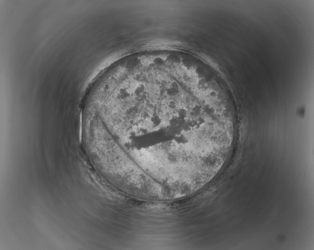 X0000115551219200912181545