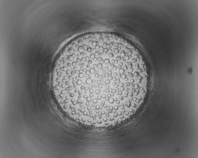 X0000115551220200912181545