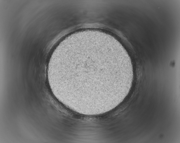 X0000115551221200912181545