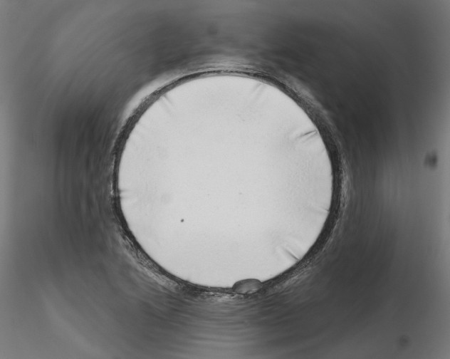 X0000115551222200912181545