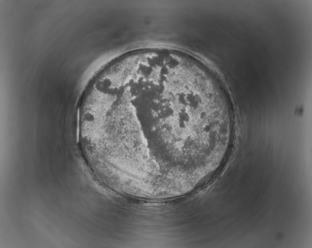 X0000115551223200912181545