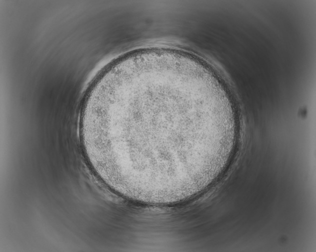 X0000115551224200912181545