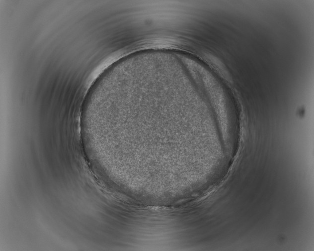 X0000115551226200912181545