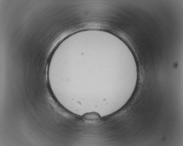 X0000115551227200912181545