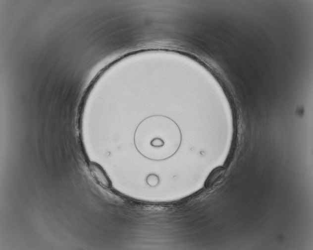 X0000115551230200912181545