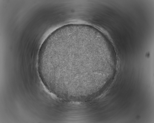 X0000115551231200912181545