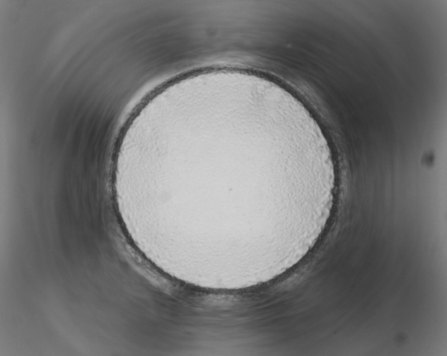 X0000115551232200912181545