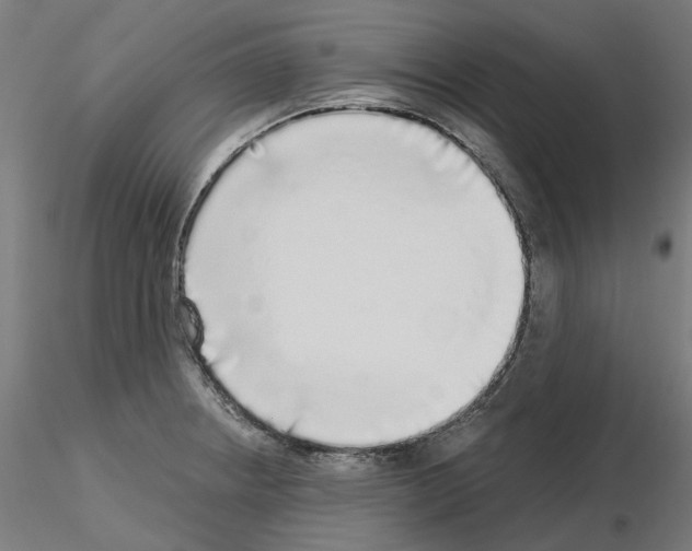 X0000115551234200912181545