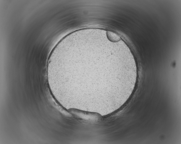 X0000115551236200912181545