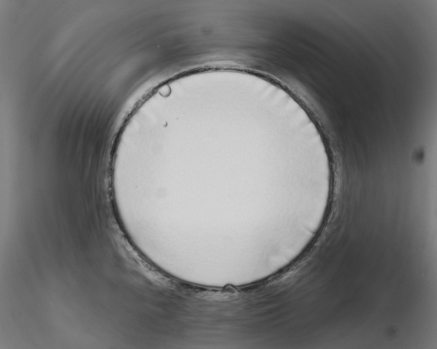 X0000115551240200912181545