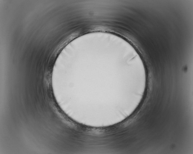 X0000115551241200912181545