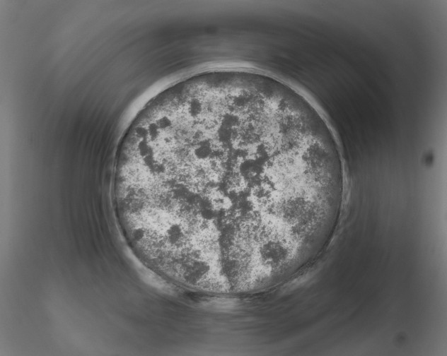 X0000115551245200912181545