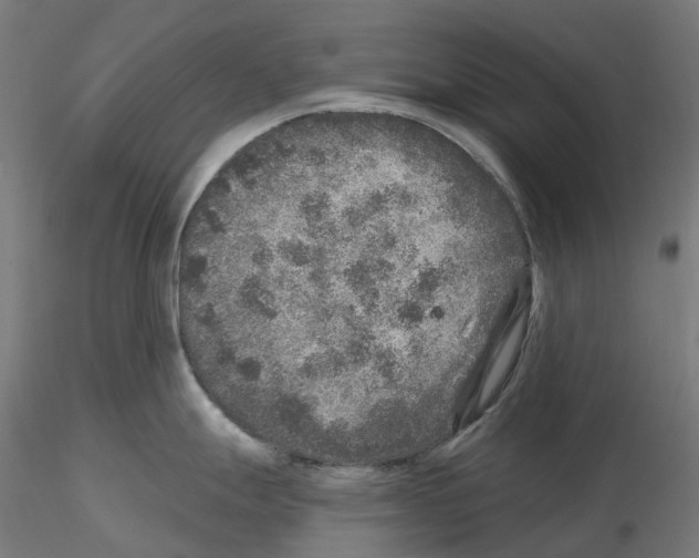 X0000115551247200912181545