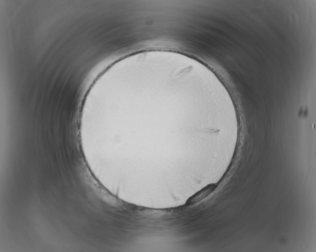 X0000115551248200912181545