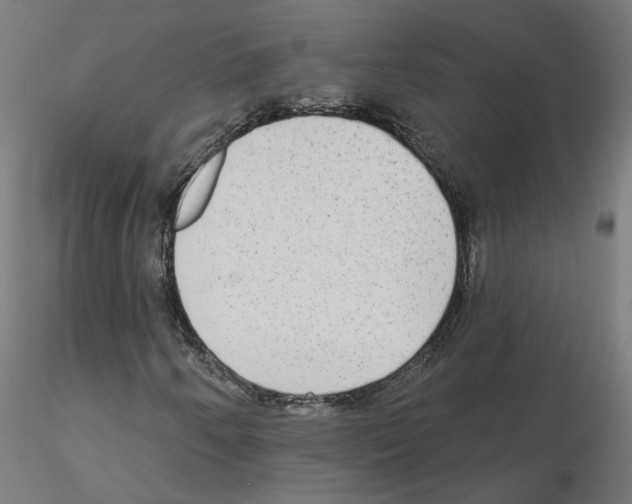 X0000115551250200912181545