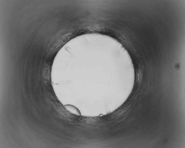 X0000115551251200912181545