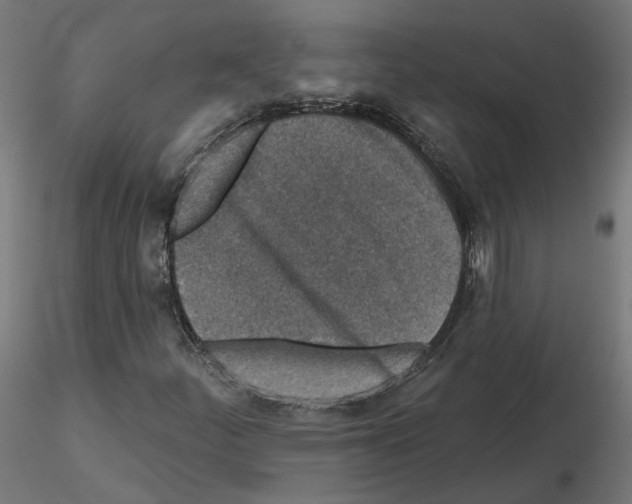 X0000115551252200912181545