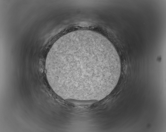 X0000115551253200912181545