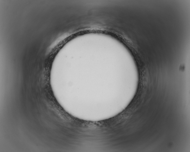 X0000115551255200912181545