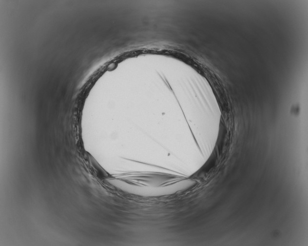 X0000115551256200912181545