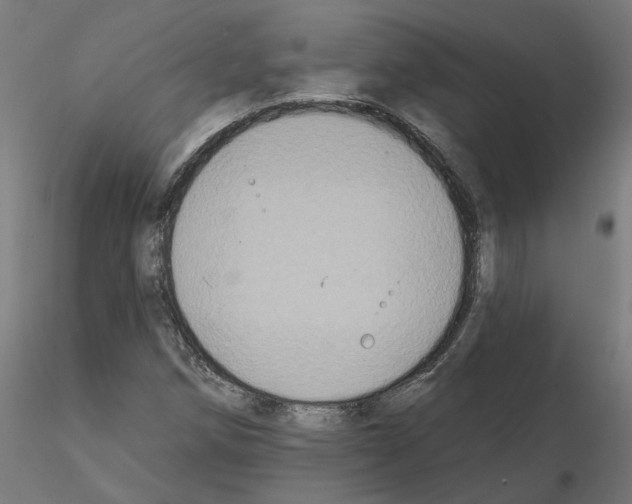 X0000115551258200912181545