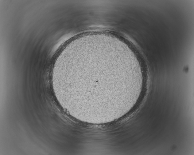 X0000115551259200912181544