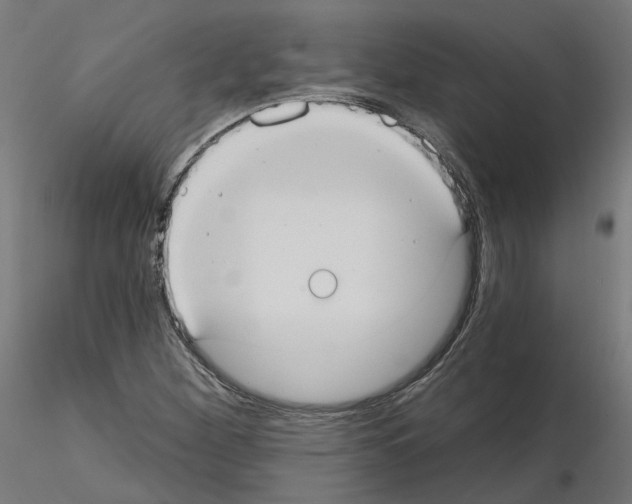 X0000115551260200912181544